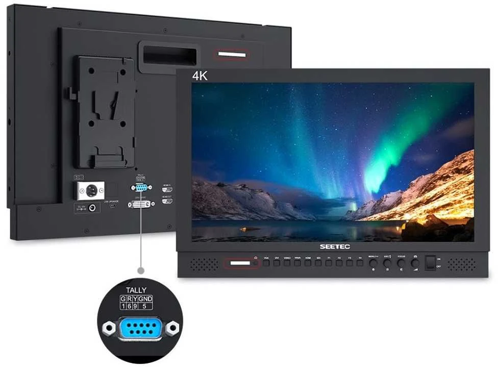 Seetec monitorius P173-9HSD 17.3"