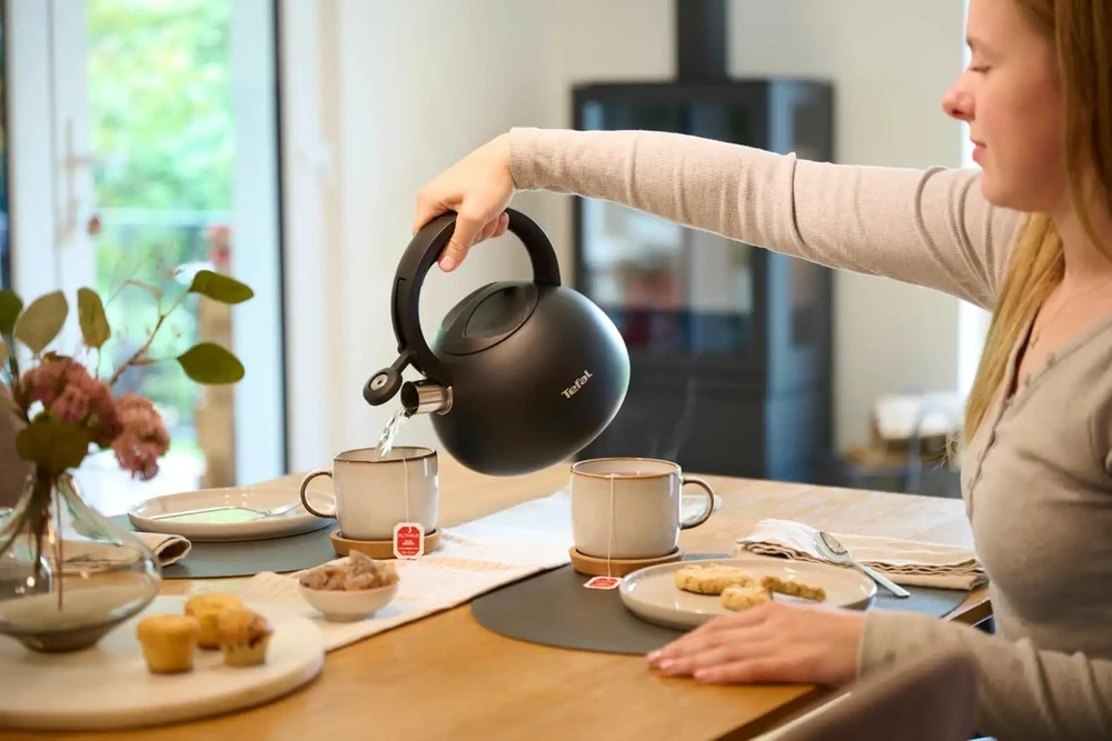 Virdulys nieelektryczny TEFAL N4180410