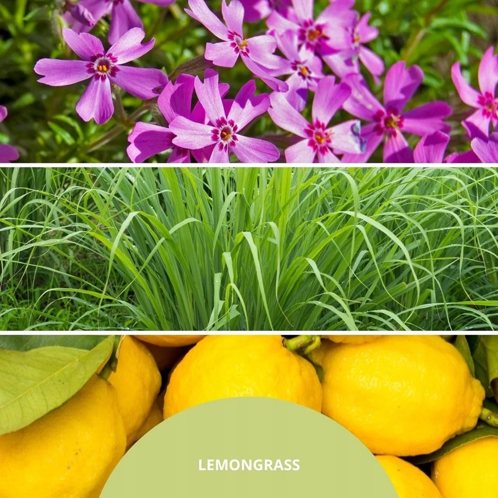 Home Fragrance 100 ml LEMON GRASS MILLEFIORI