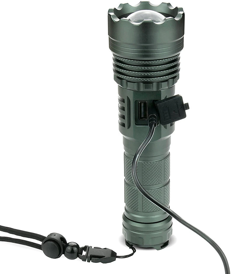 „EverActive FL-1500R“ taikiklis