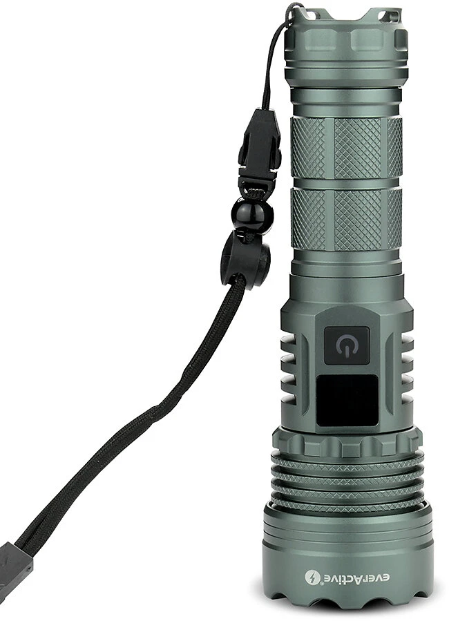 „EverActive FL-1500R“ taikiklis