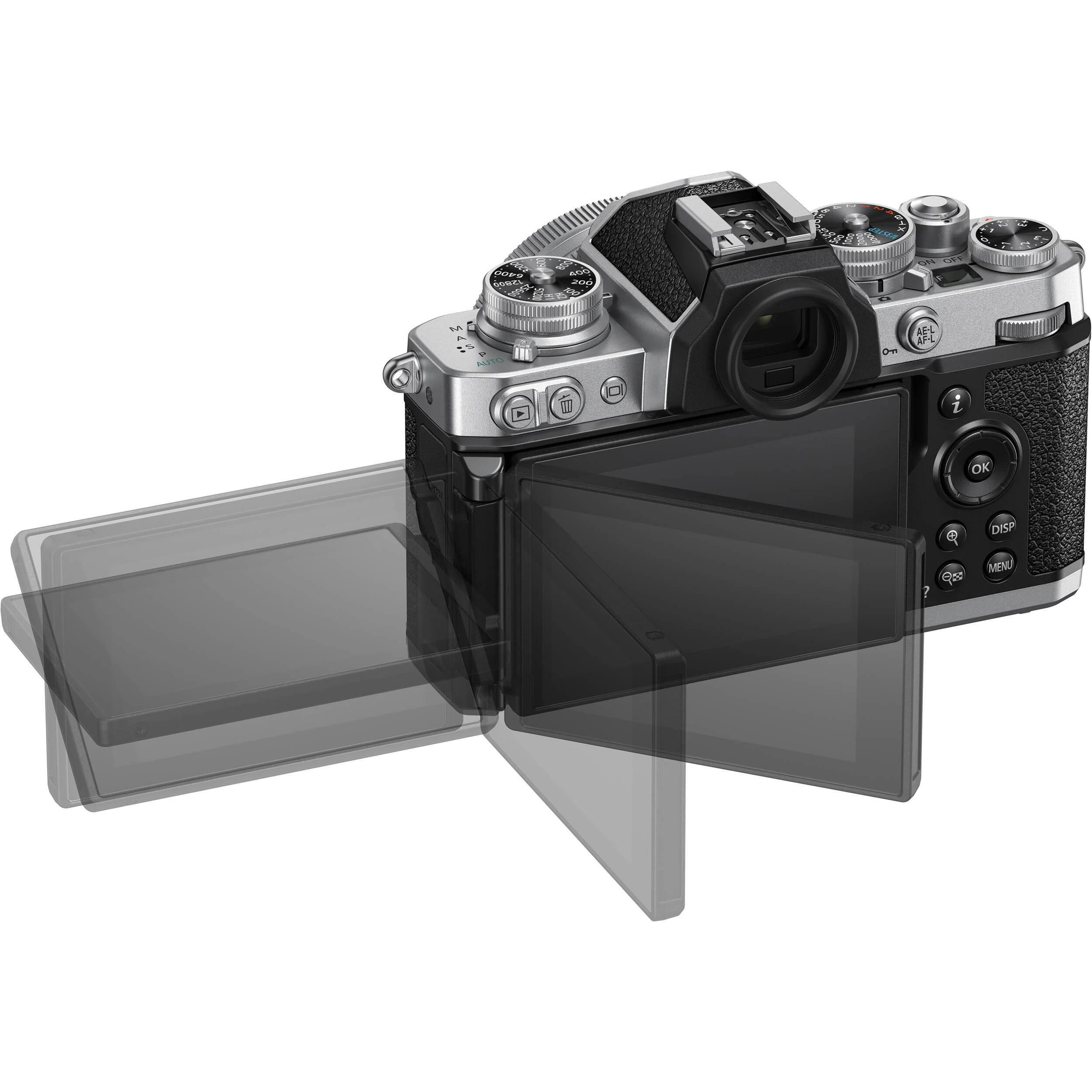 Nikon Z fc + NIKKOR Z DX 16-50mm f/3.5-6.3 VR + NIKKOR Z DX 50-250mm f/4.5-6.3 VR (Sidabrinis)