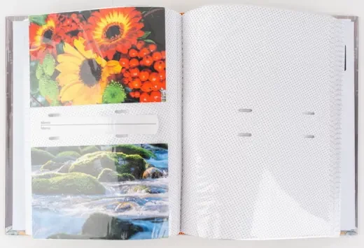 Nuotraukų Albumas - Fandy B46200 Ginko-1 10x15 200 Slip In Bookbound, 50 x 190 x 250 mm, Baltas