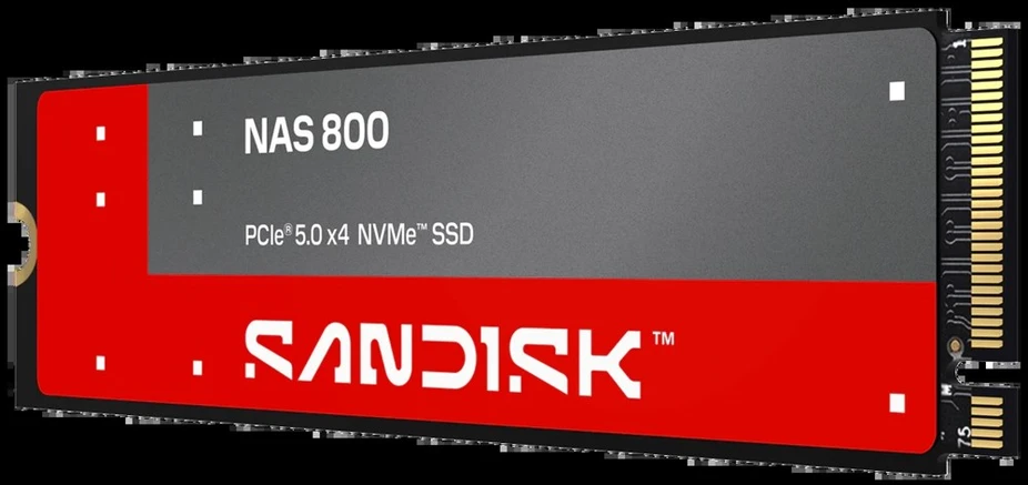 SanDisk NAS 800 960 GB M.2 PCIe 5.0 NVMe 3D TLC NAND