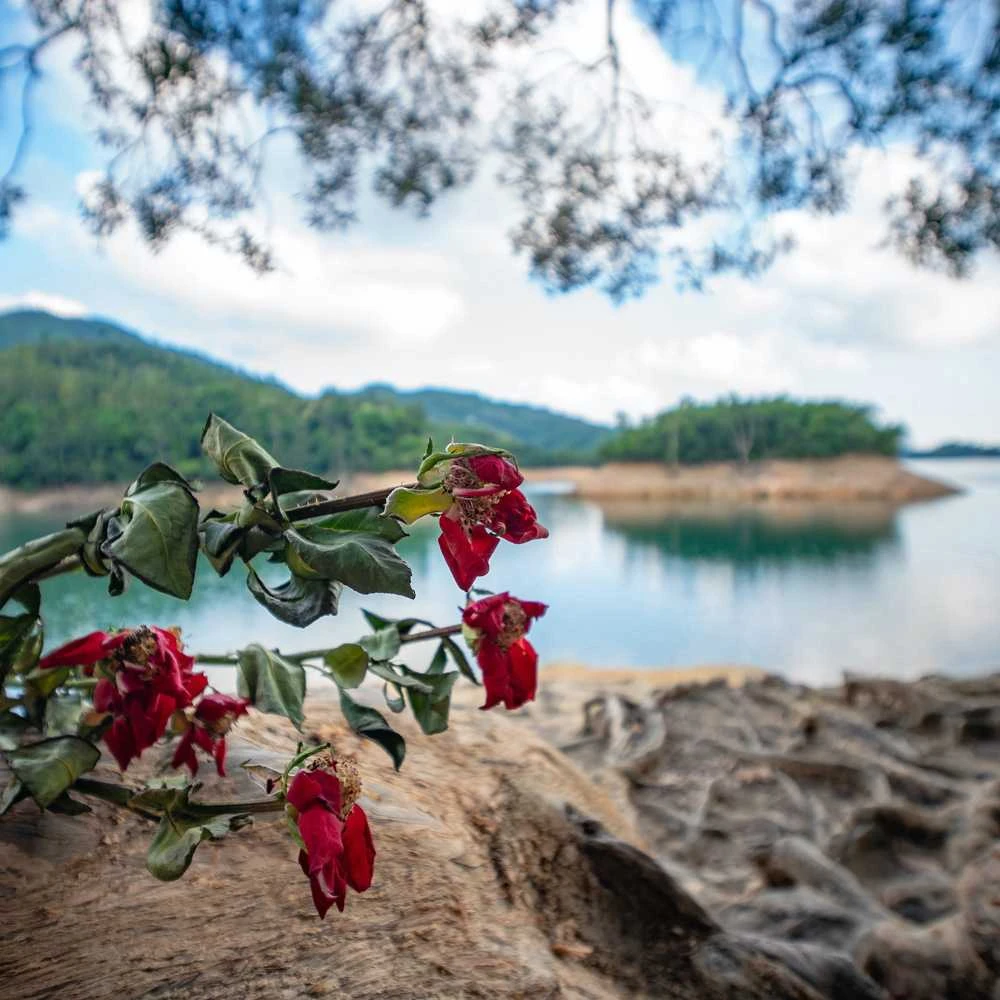 Objektyvas - Laowa 10mm f/4 Cookie L Mount APS-C 109.3° Juodas