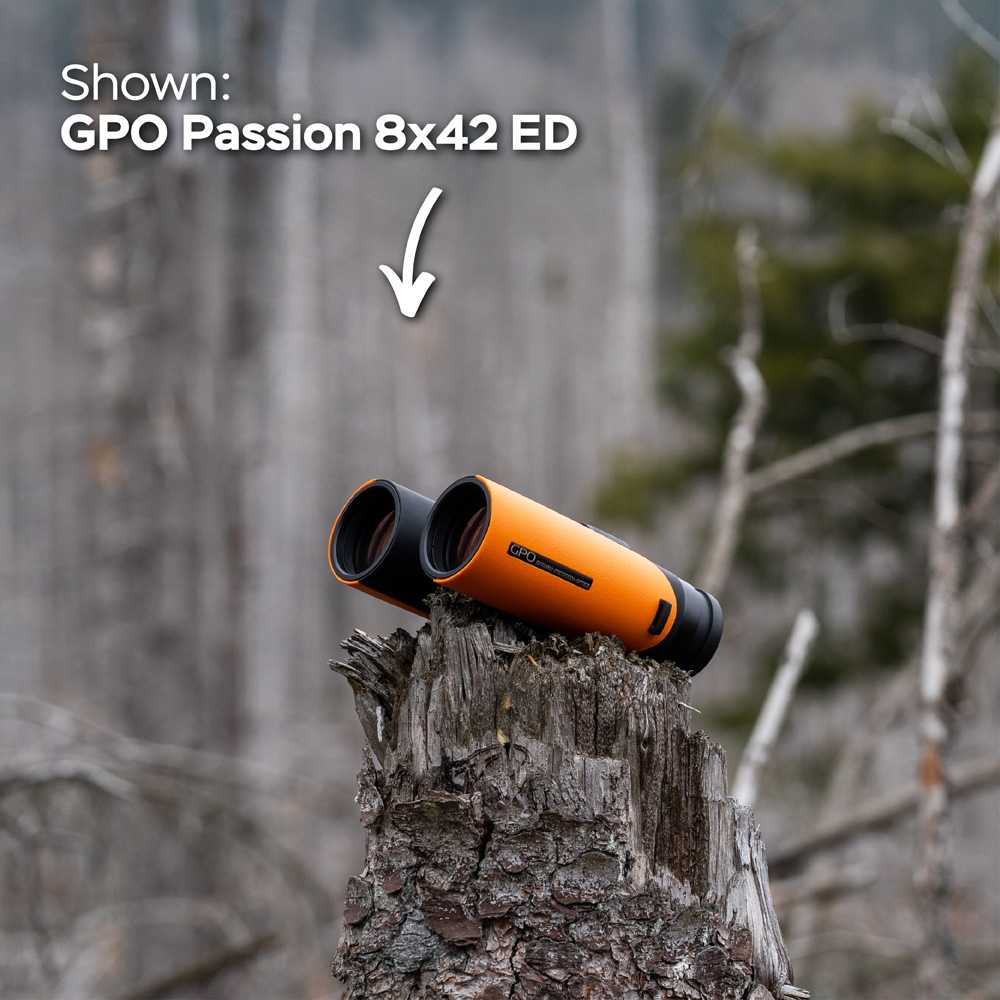 Optinis prietaisas - GPO Passion 8x32ED žiūronai 8x32mm atsparūs vandeniui oranžiniai