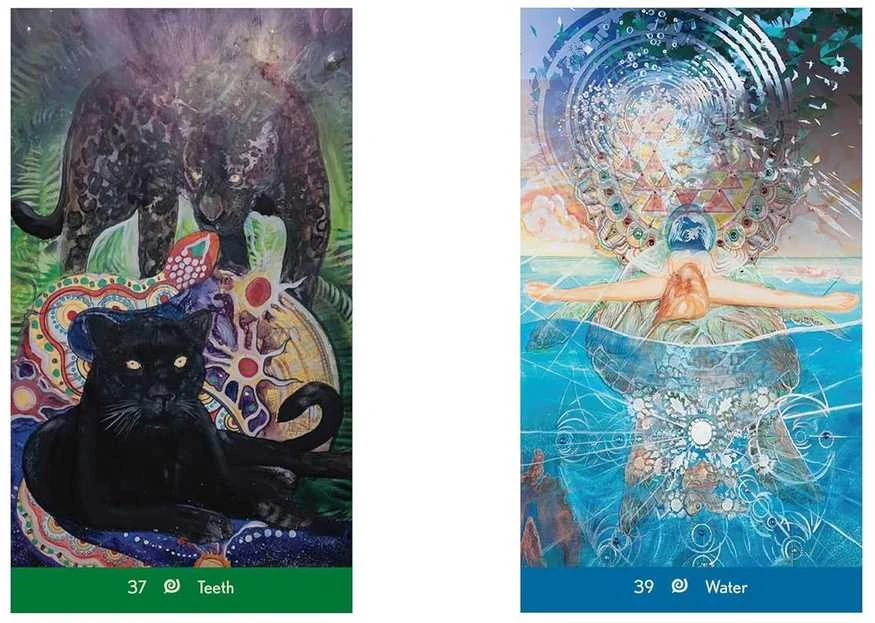 Destiny Books Dream Wisdom sapnų orakulo kortos asmeniniam augimui ir gijimui