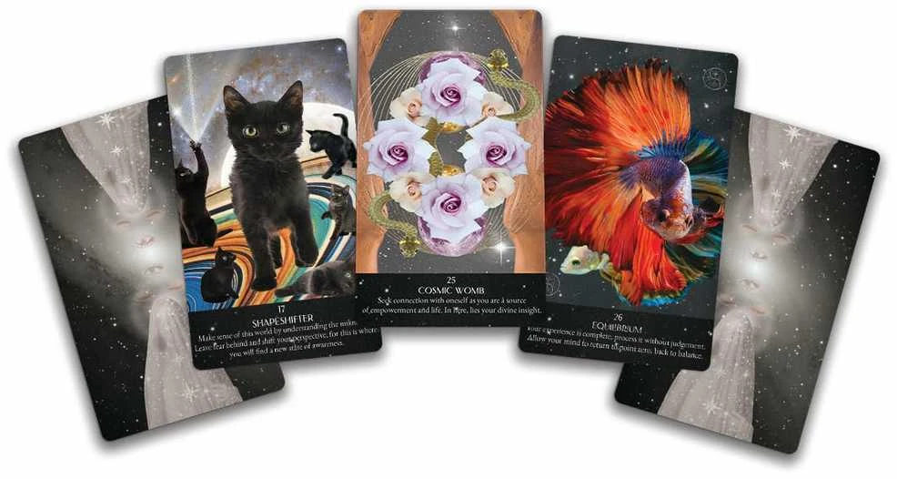 Oracle Kortos Starlight Frequencies Sacred Scribe Publishing
