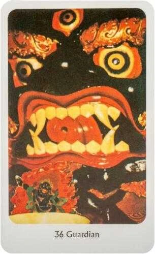 KNYGA Orakulo Kortos The Tantric Dakini Destiny Books