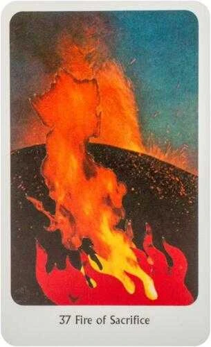 KNYGA Orakulo Kortos The Tantric Dakini Destiny Books