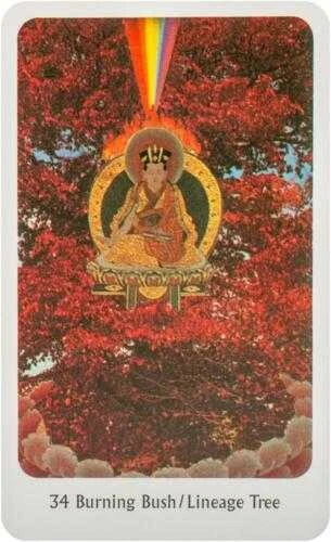 KNYGA Orakulo Kortos The Tantric Dakini Destiny Books