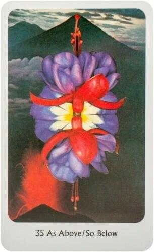 KNYGA Orakulo Kortos The Tantric Dakini Destiny Books