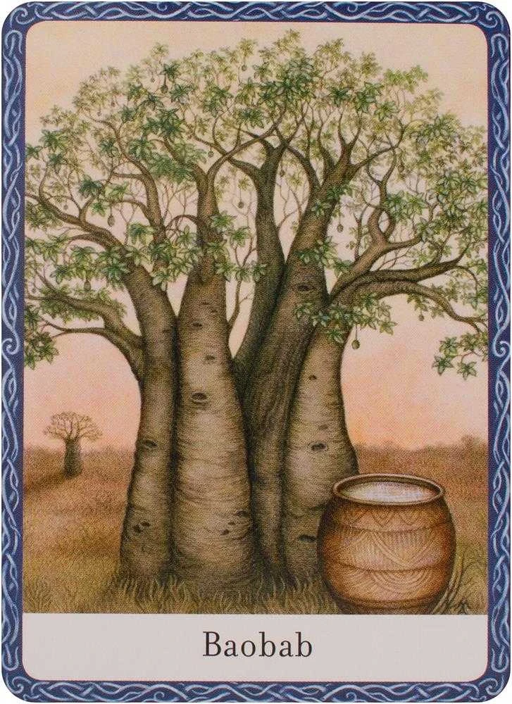 Orakulo Kortos The Wisdom Of Trees Watkins Publishing
