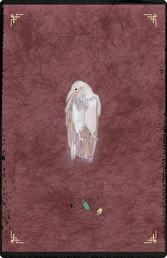 Weiser Books The Oracle of Rewilding orakulo kortos – gyvūnų išminties galia