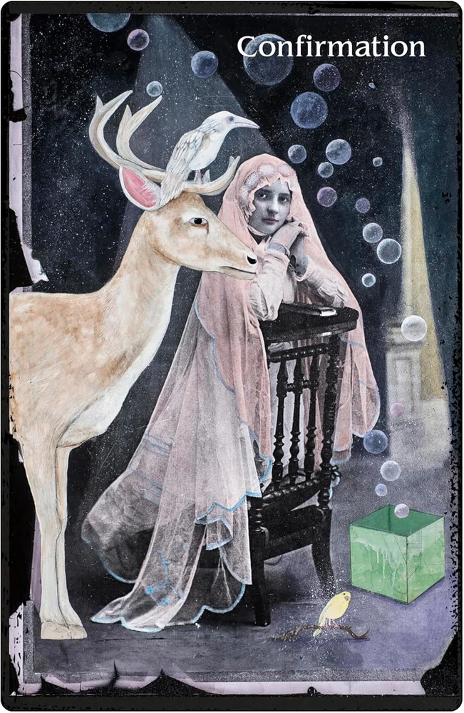Weiser Books The Oracle of Rewilding orakulo kortos – gyvūnų išminties galia
