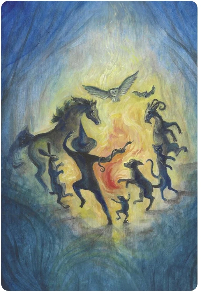Oracle kortų rinkinys - Llewellyn A Witch's Ally 48 Gyvūnų Dvasios Kortos Marga