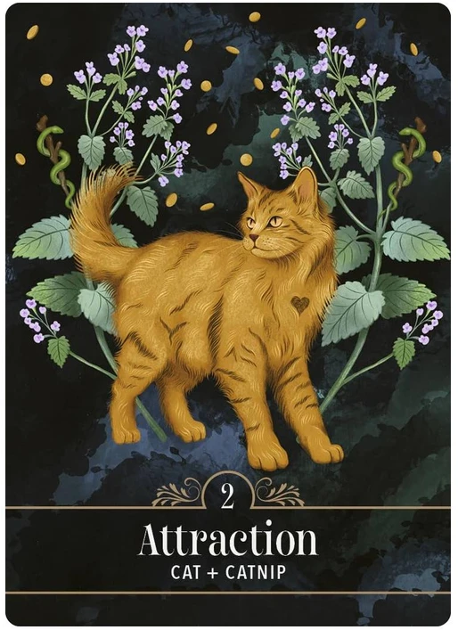 Orakulinių kortų kaladė - Hay House The Familiar Magic Pocket Oracle Cards, 44 kortelės, 10 × 7,5 × 3,5 cm