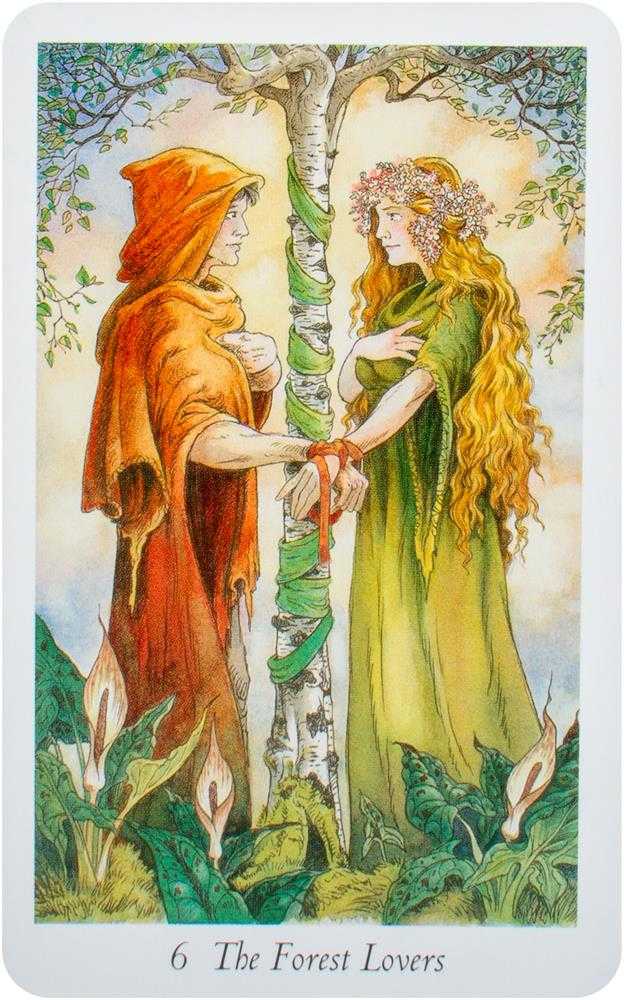KNYGA Orange Hippo Oranžinis Hippo Oranžinis Hippo Wildwood Tarot Kortos