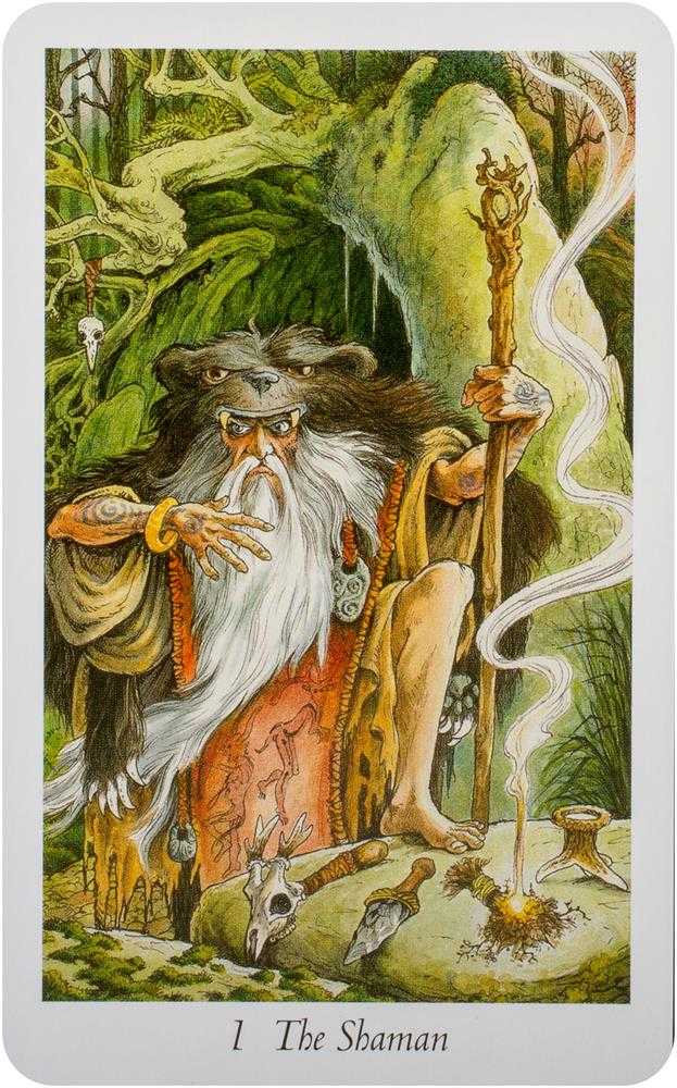 KNYGA Orange Hippo Oranžinis Hippo Oranžinis Hippo Wildwood Tarot Kortos