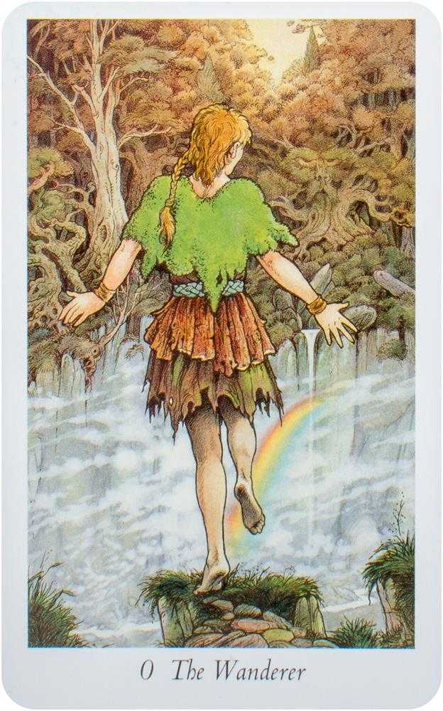 KNYGA Orange Hippo Oranžinis Hippo Oranžinis Hippo Wildwood Tarot Kortos