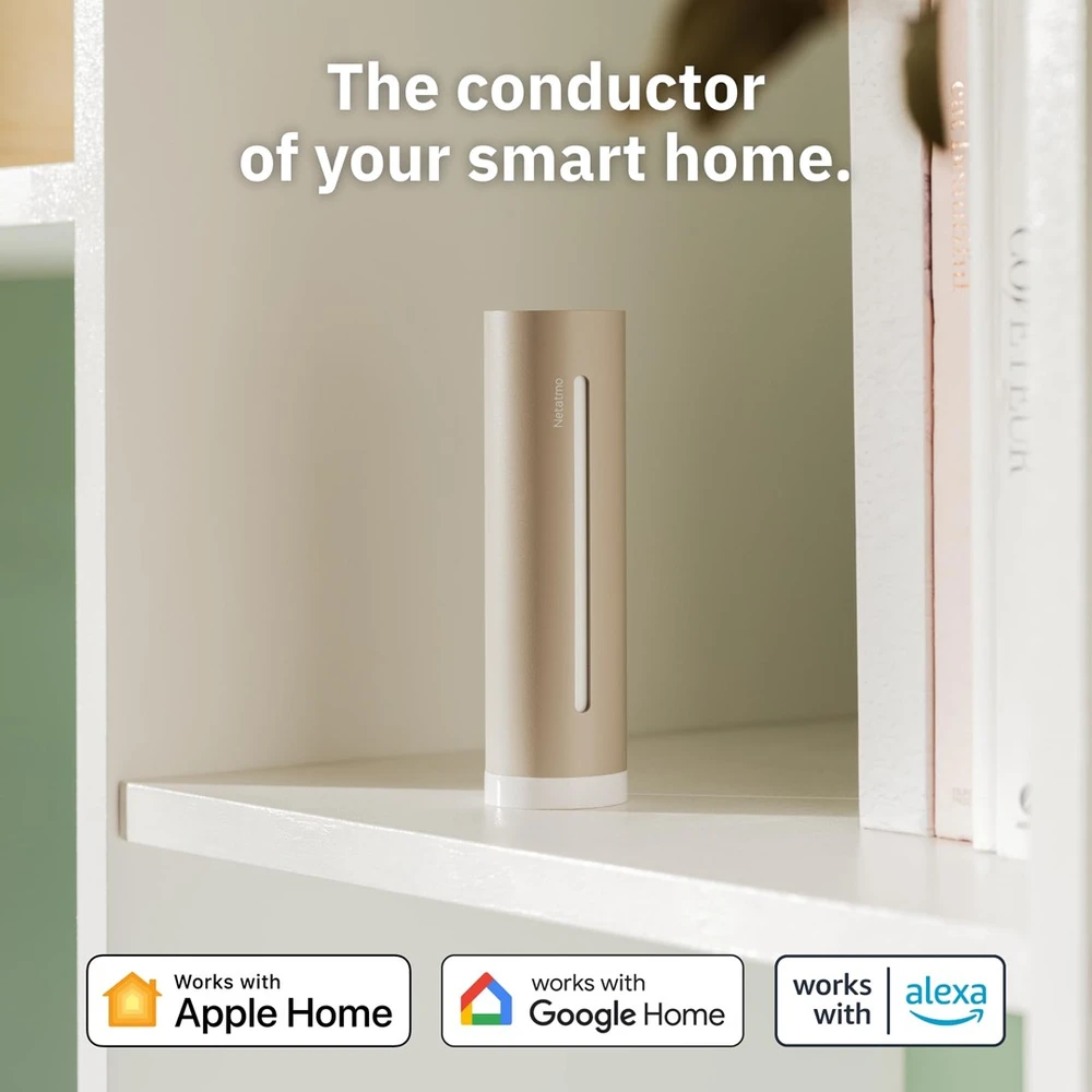Orų stotelė ORIGINAL NETATMO NWS-S SAND, Sand