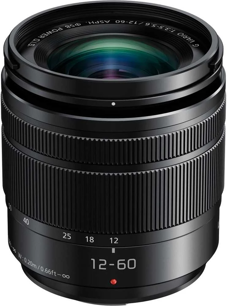 Panasonic Lumix DC-G100D + LUMIX G VARIO 12-60mm f/3.5-5.6 Asph. (Juodas)