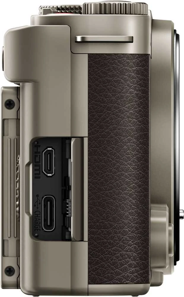 Panasonic Lumix DC-S9 Body (Titanium Gold)