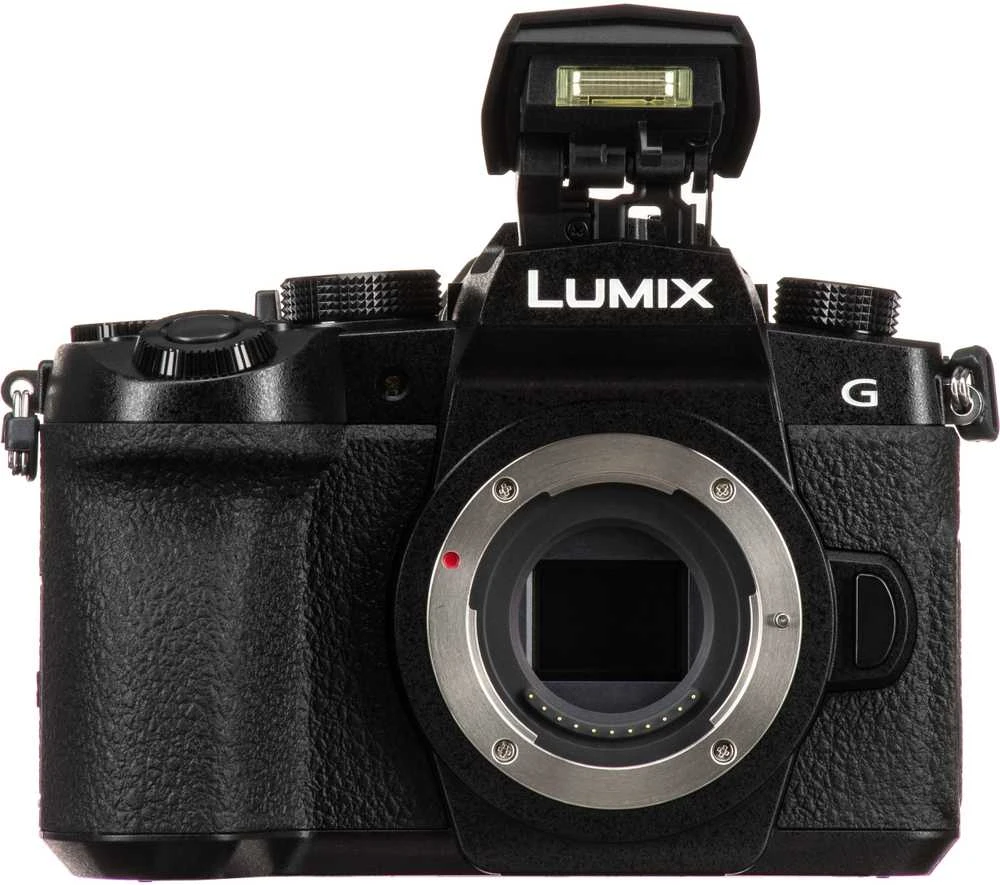 Panasonic Lumix G95D (90/91/99) + Panasonic LUMIX G Vario 12-60mm f/3.5-5.6 Asph. Power O.I.S (H-FS12060) (Juodas)