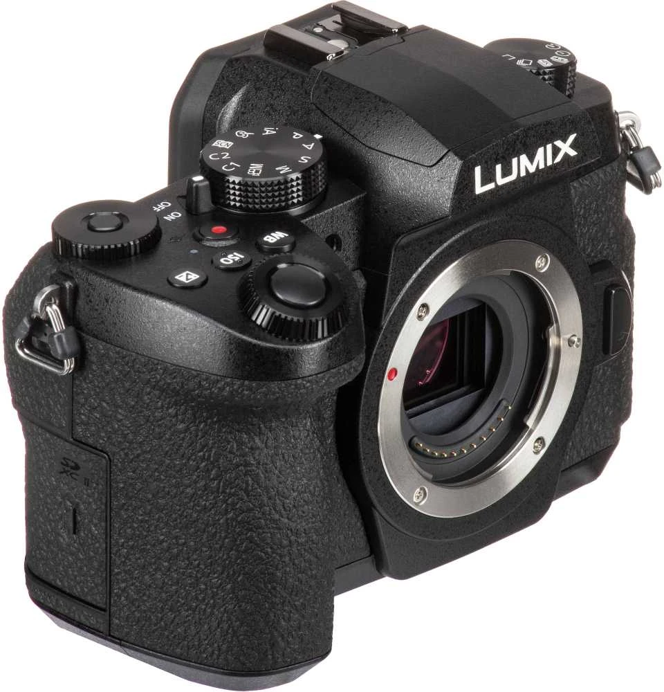 Panasonic Lumix G95D (90/91/99) + Panasonic LUMIX G Vario 12-60mm f/3.5-5.6 Asph. Power O.I.S (H-FS12060) (Juodas)