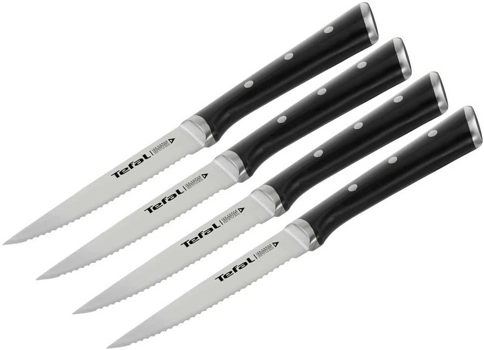 Peilių komplektas Tefal Ice Force K232S414, 4 dalių