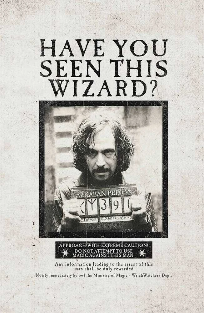 Dėlionė Plakatų ir Kišeninių Knygelių Kolekcija Harry Potter (rinkinys iš 3 dalių) Insight Editions