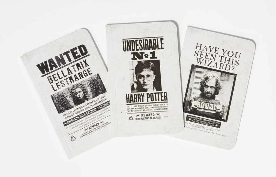 Dėlionė Plakatų ir Kišeninių Knygelių Kolekcija Harry Potter (rinkinys iš 3 dalių) Insight Editions