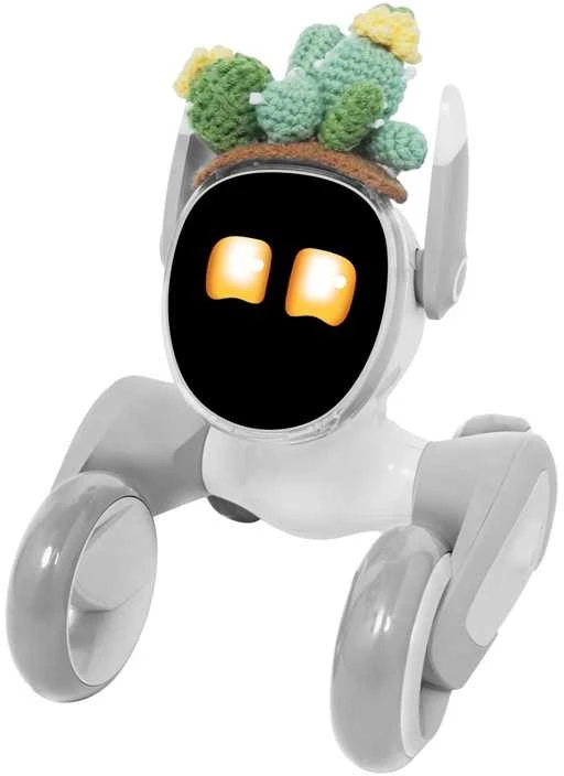 Megztas kostiumas „Loona Premium Cactus“