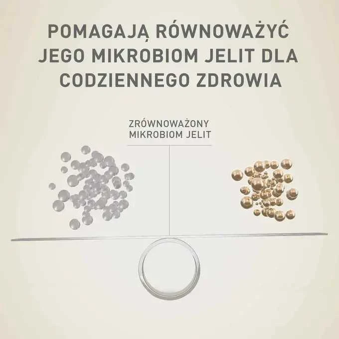 Purina Nestle Drėgnas Šunų Maistas - PURINA One Mini/Small Active Su Jautiena 85g