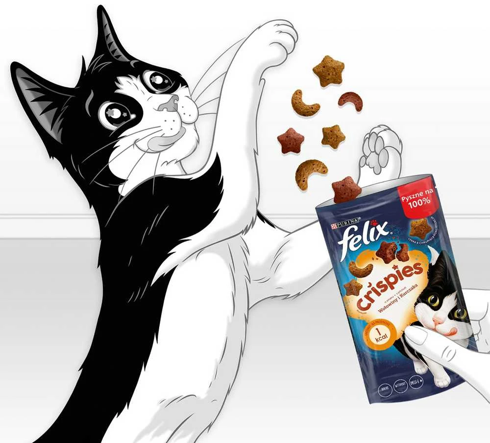 Purina Nestle Sausas Kačių Maistas - Felix Crispies Jautiena, Vištiena