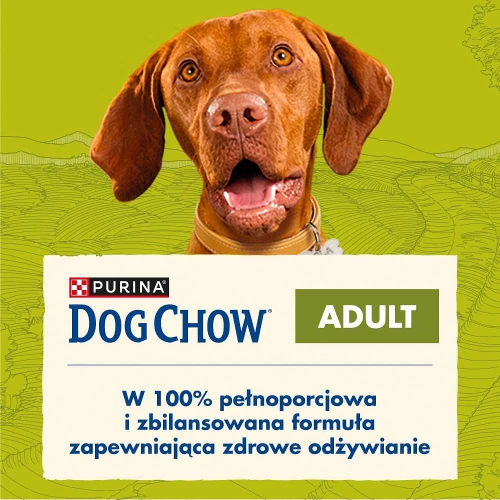 Purina Nestle Šunų maistas - PURINA Dog Chow Adult ėriena 16,5kg