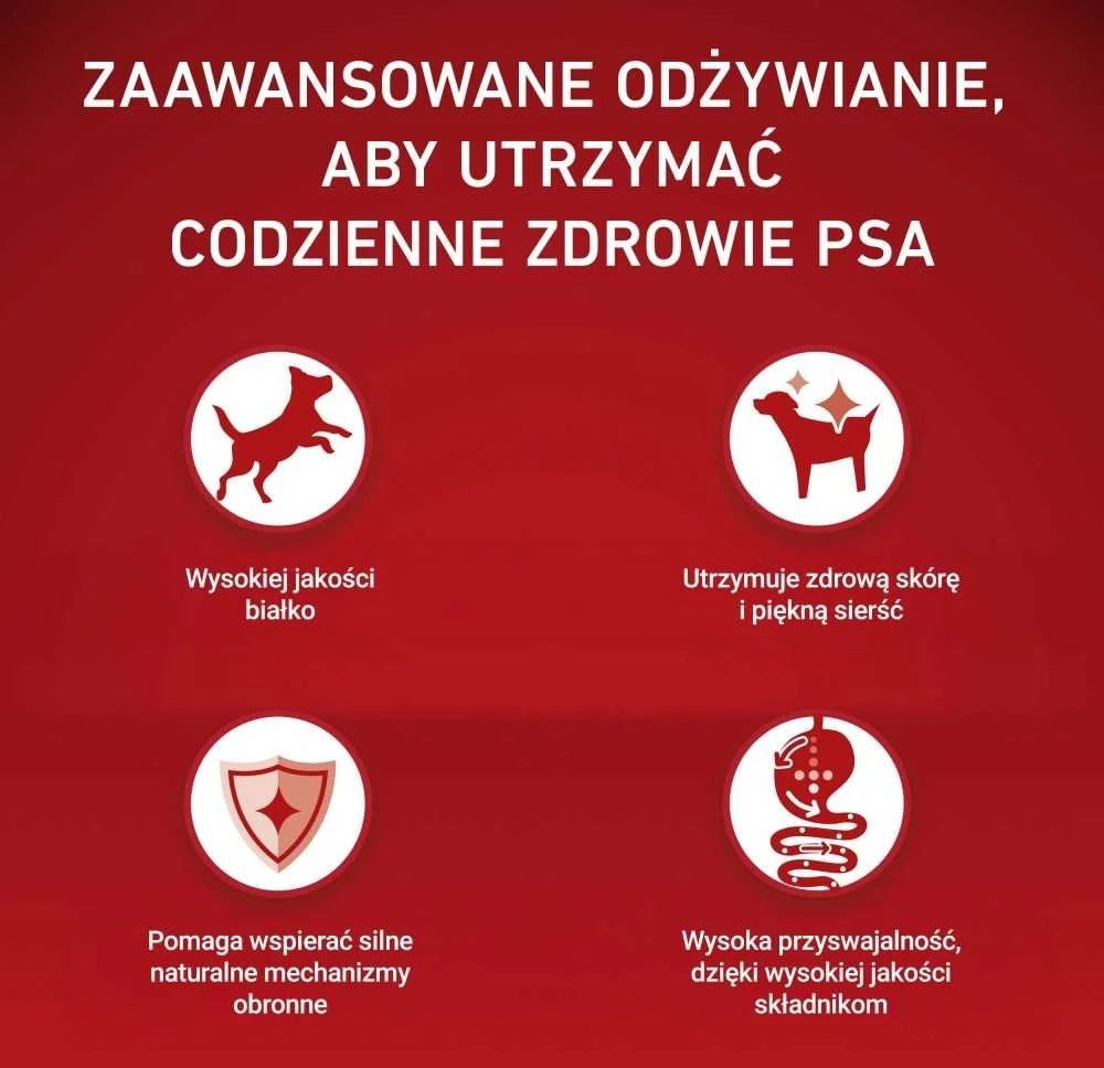 Purina Nestle ONE MINI Dog Sensitive lašiša & ryžiai 1,5kg