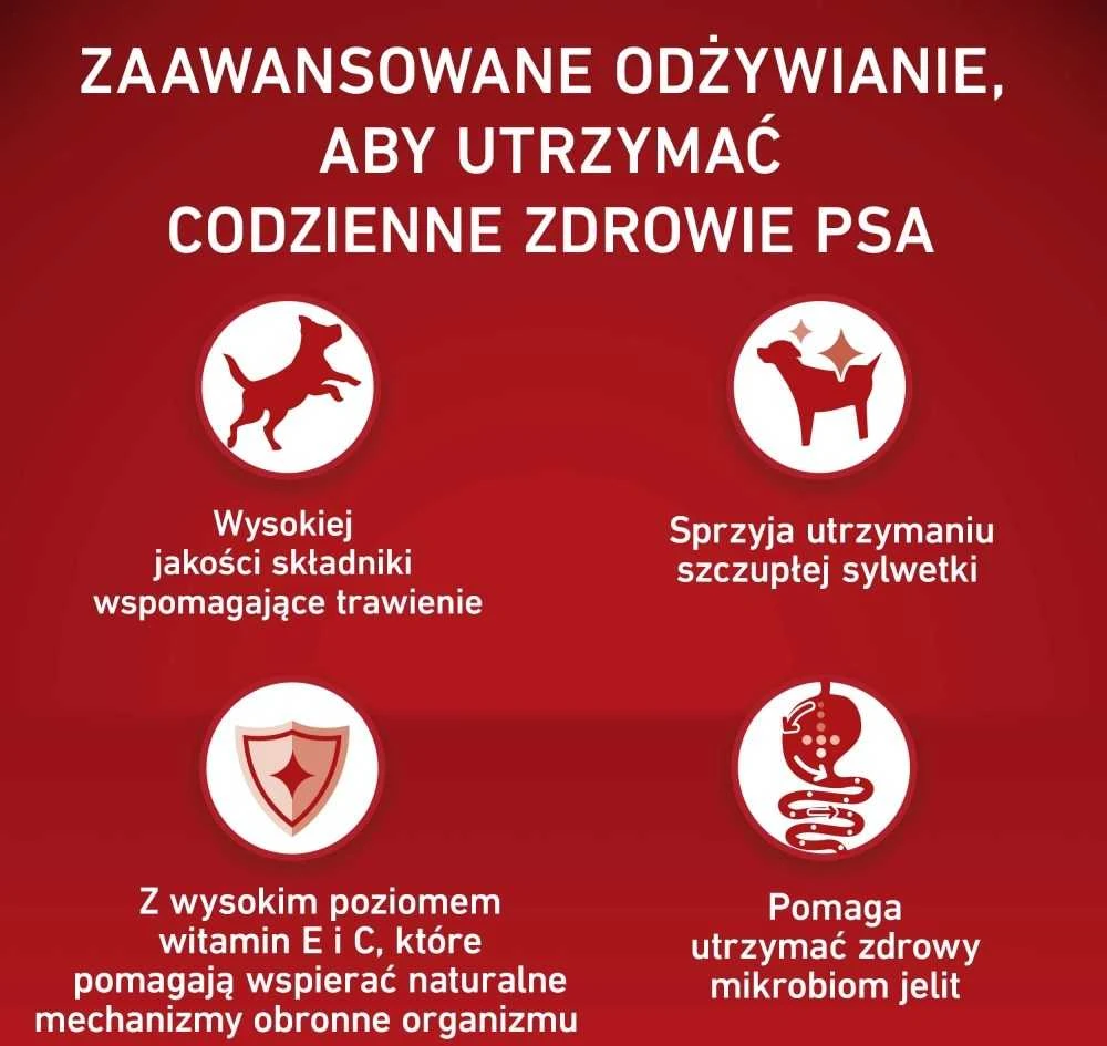 Purina Nestle ONE Medium/Maxi Adult kalakutiena & ryžiai 2,5kg