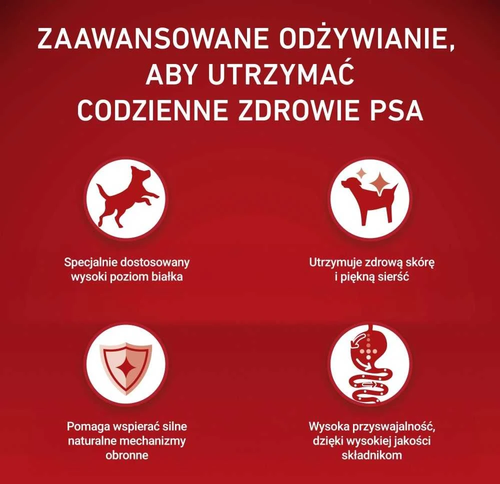 Purina Nestle ONE MINI Dog Adult jautiena & ryžiai 1,5kg