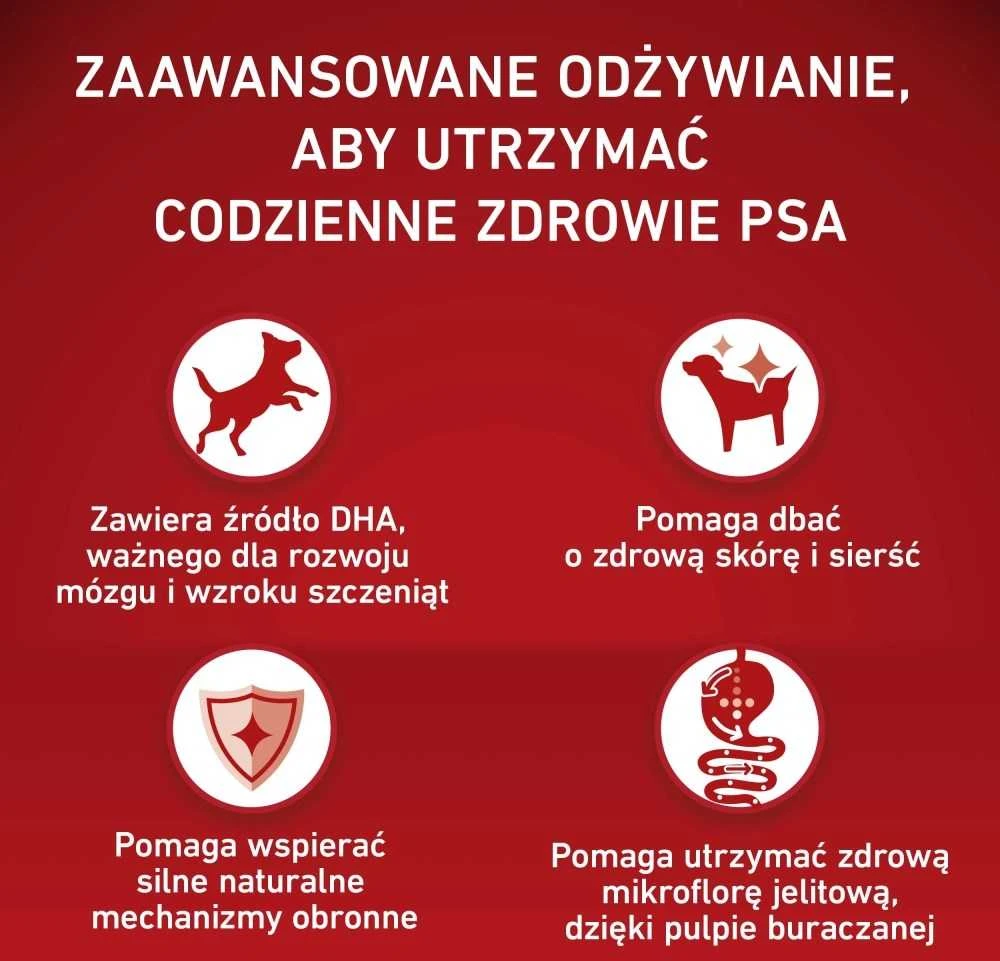 Purina Nestle ONE Medium/Maxi Junior vištiena & ryžiai 7kg