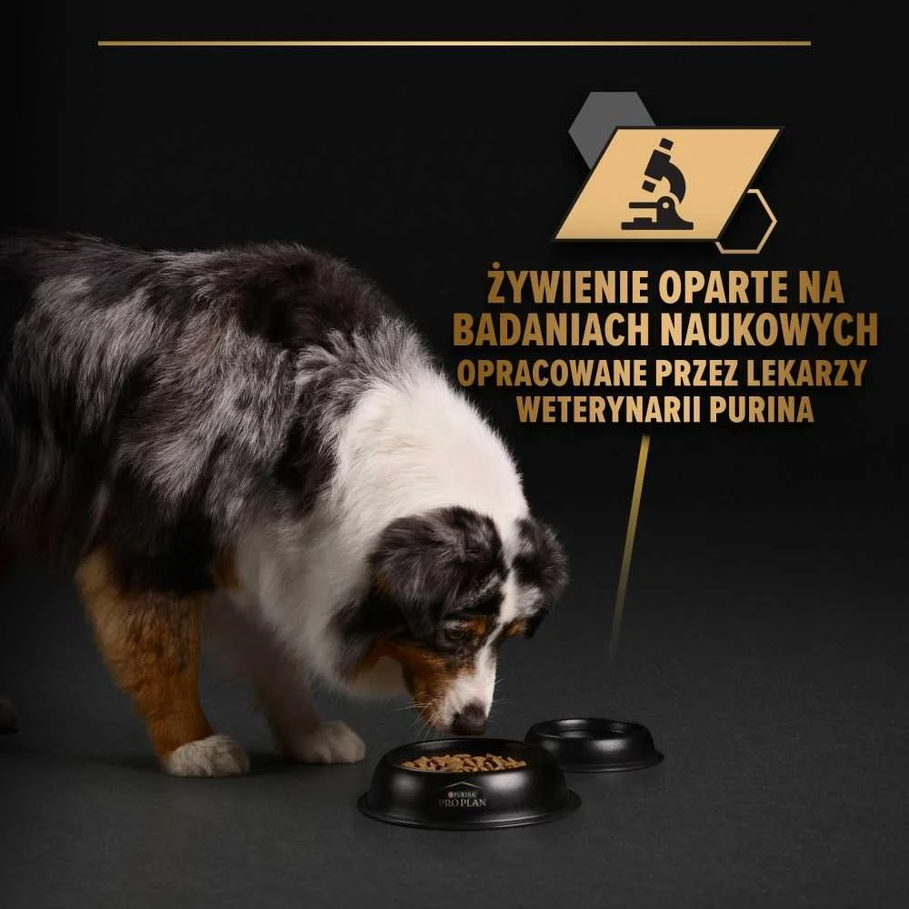 Purina Nestle Šunų Maistas - PURINA Pro Plan Kasdienė Mityba Kalakutienoje Želyje 400g Be Grūdų