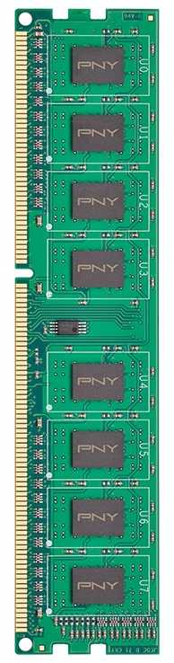 Nešiojamo kompiuterio atmintis Pny Technologies PNY 8GB PC3-12800 1600MHz DDR3 atminties modulis 1 x 8 GB