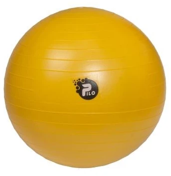 Reha Fund ABS PILO-1045 REHAFUND Rehabilitation Ball
