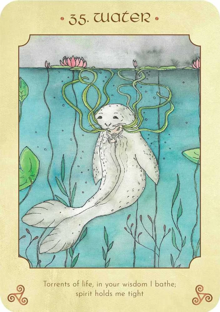 Rockpool Anamchara Oracle Kortos