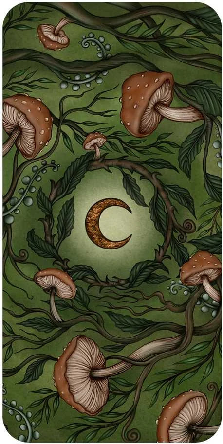 Rockpool Forest Fae Kortos