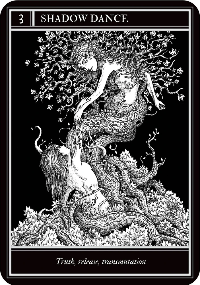 Rockpool Coven Oracle raganystės orakulo kortos – 36 kortos su knygele