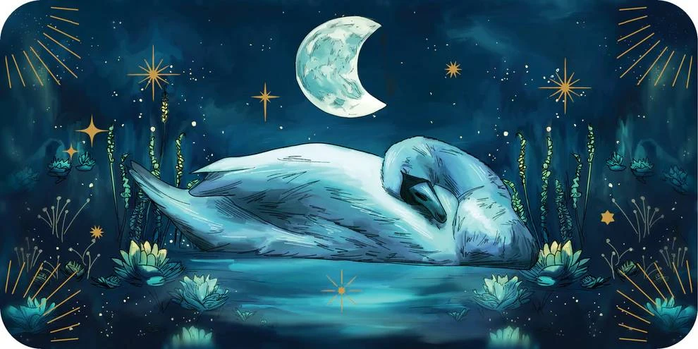 Rockpool Sleeping Spirits afirmacijų kortos ramiam miegui ir sapnams