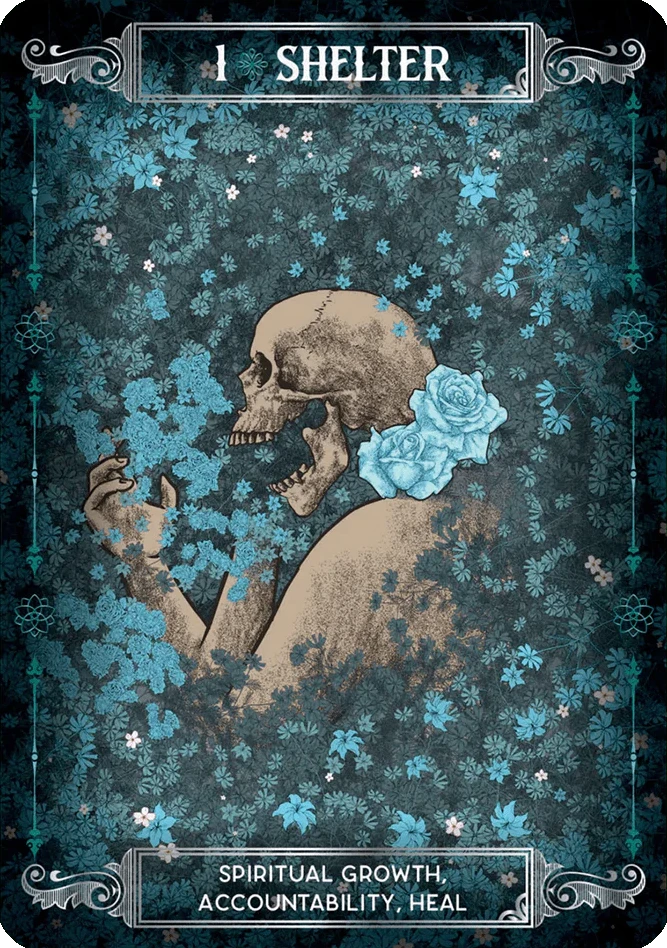 Earth & Bone Oracle kortos Rockpool