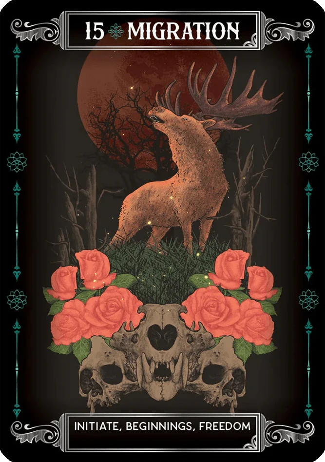 Earth & Bone Oracle kortos Rockpool