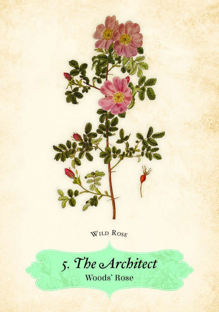 Rockpool Oracle Of The Roses kortos